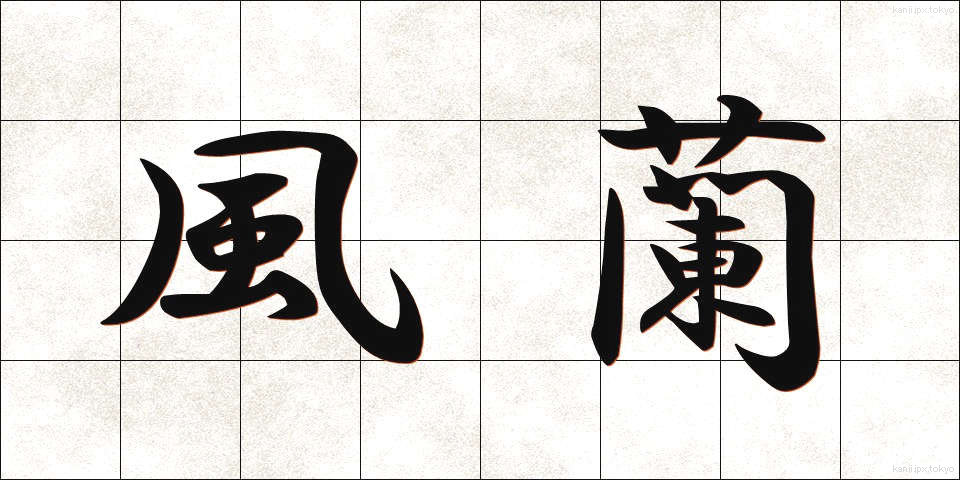 風蘭 (ふうらん)