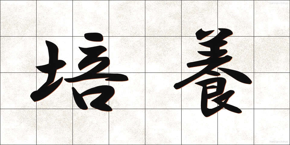 培養 (ばいよう)