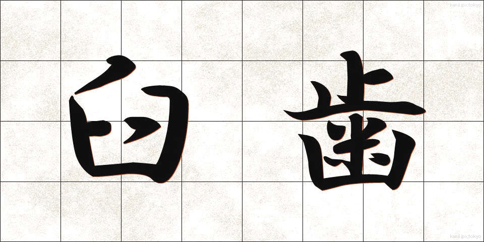 臼歯 (きゅうし)