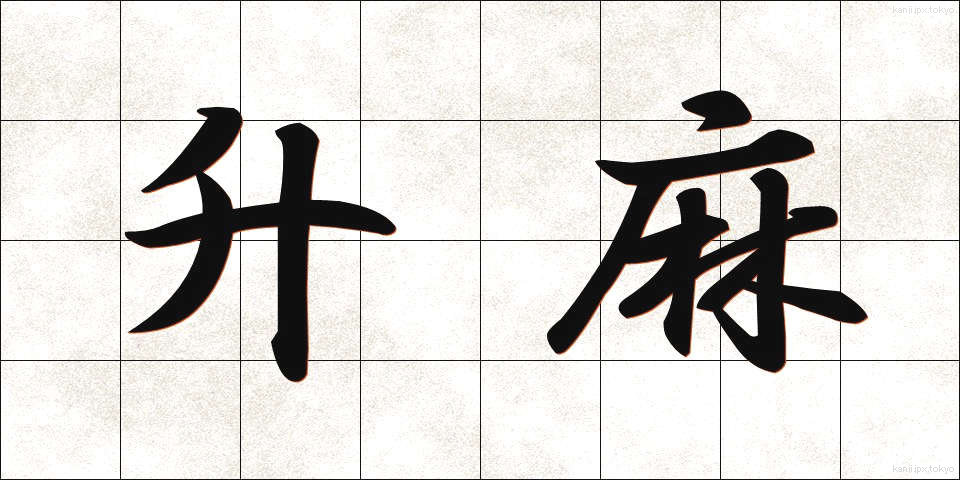 升麻 (しょうま)