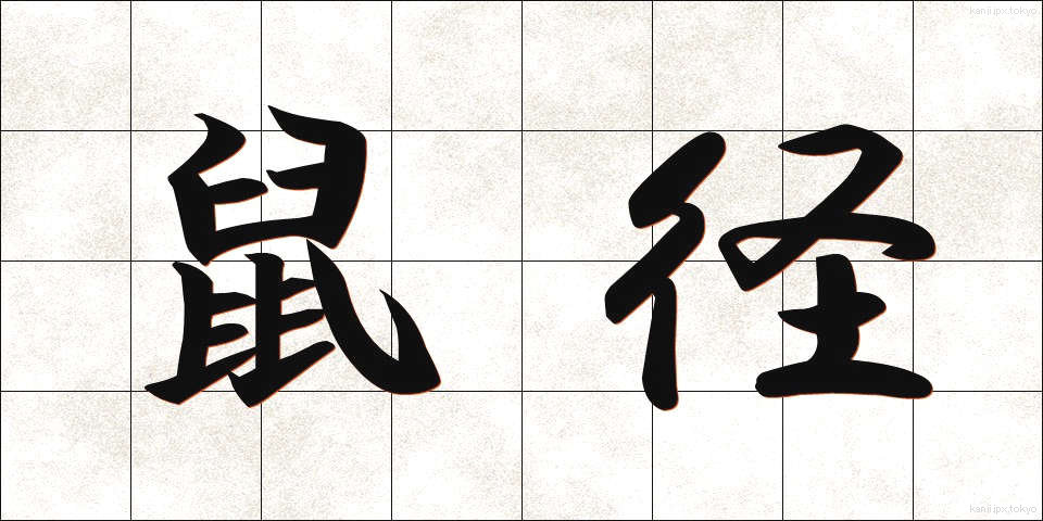 鼠径 (そけい)