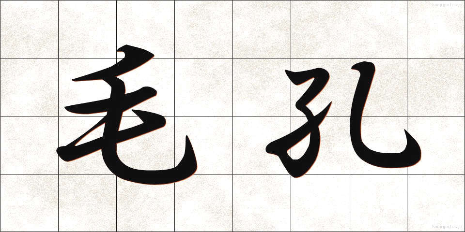毛孔 (けこう)