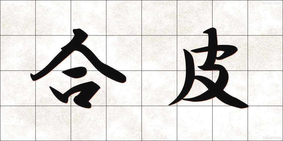 合皮 (ごうひ)