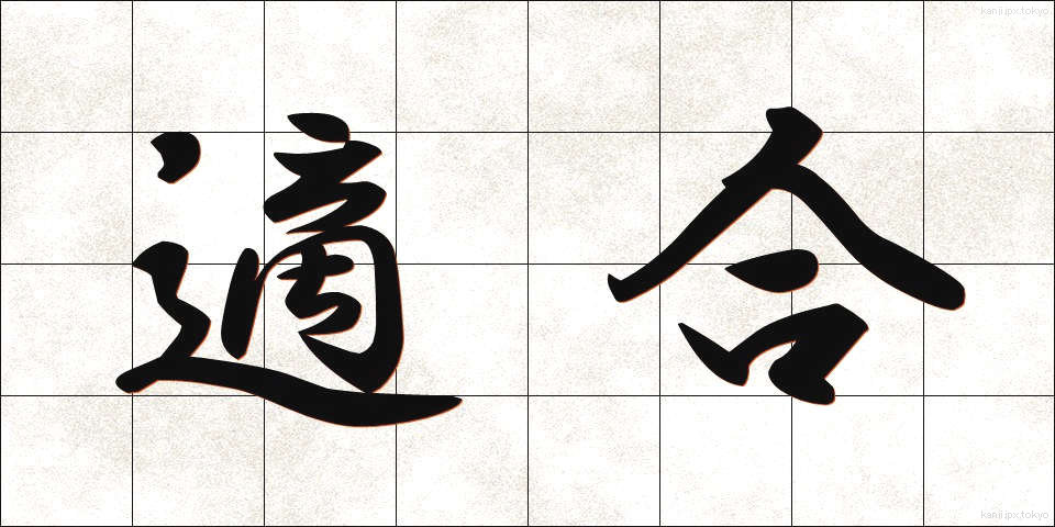 適合 (てきごう)