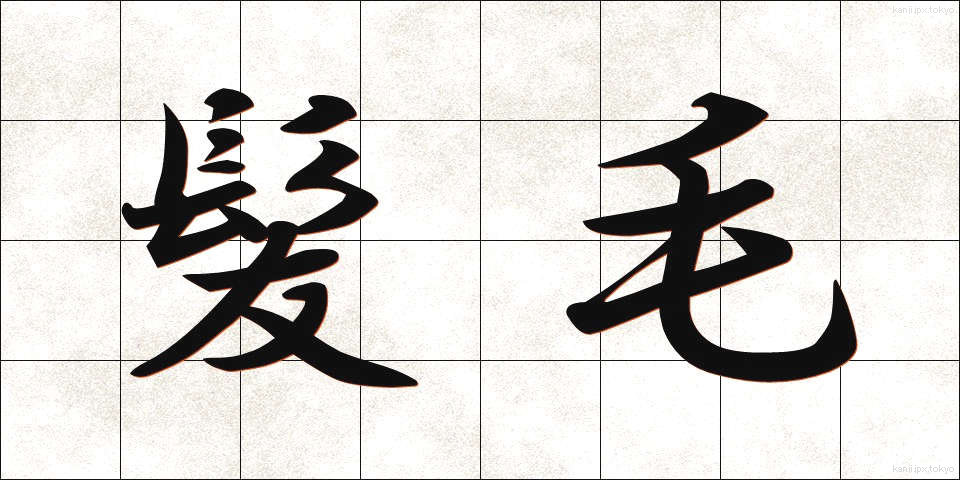 髪毛 (かみけ)