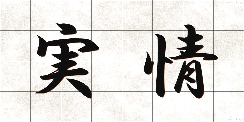 実情 (じつじょう)