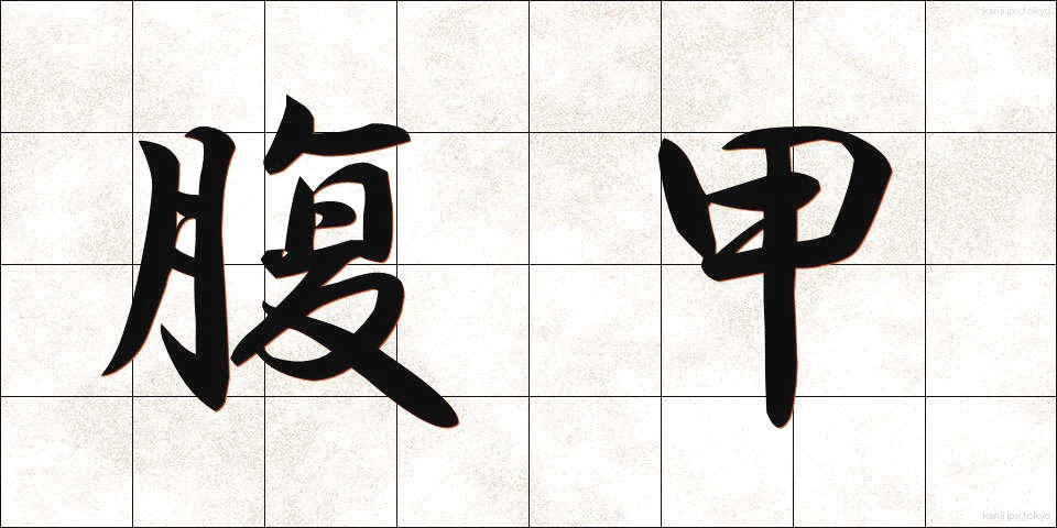腹甲 (ふくこう)