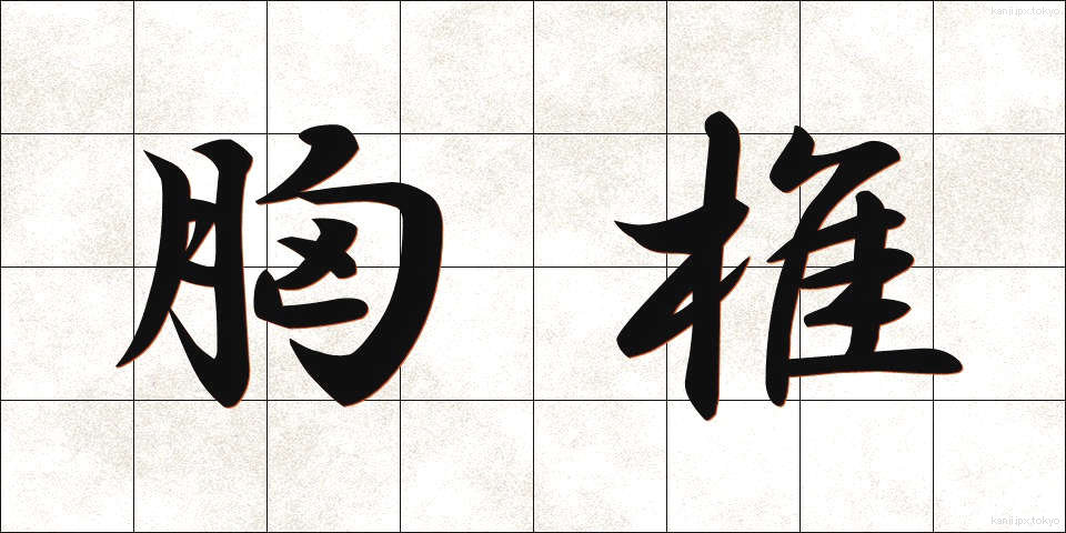 胸椎 (きょうつい)