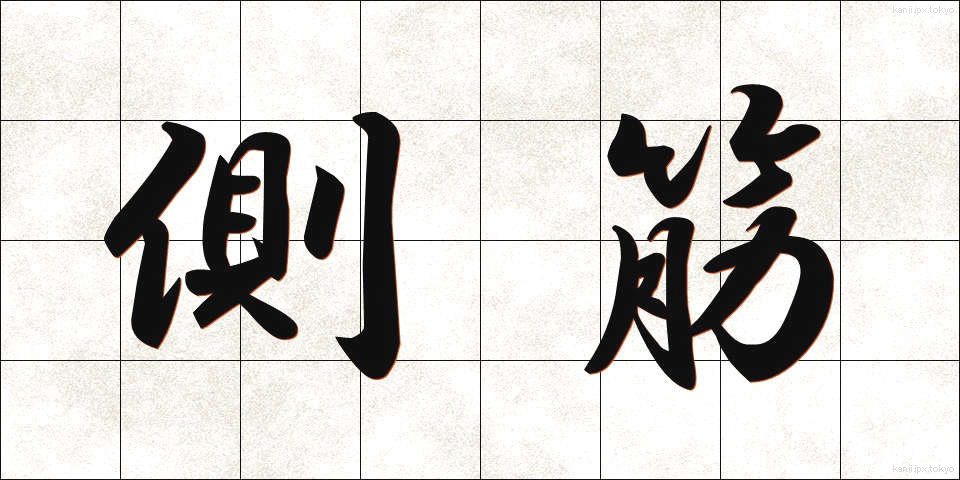 側筋 (そくきん)