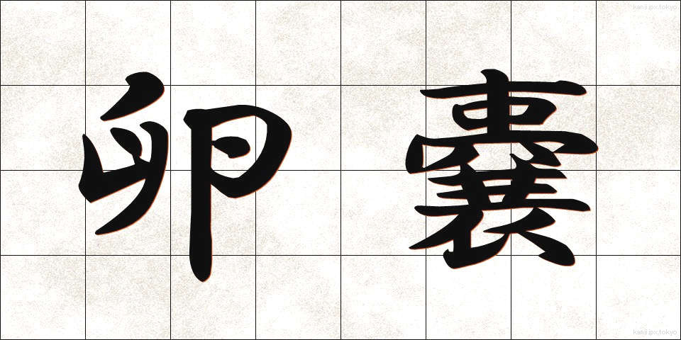 卵嚢 (らんのう)