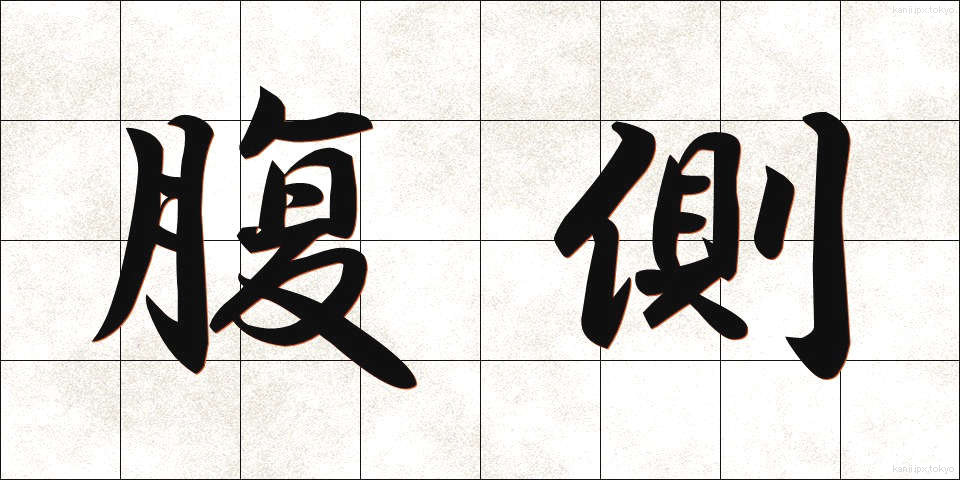 腹側 (ふくそく)