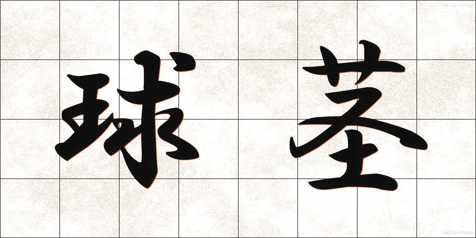 球茎 (きゅうけい)