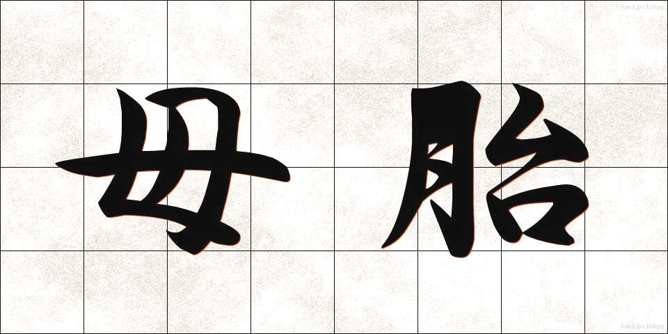 母胎 (ぼたい)