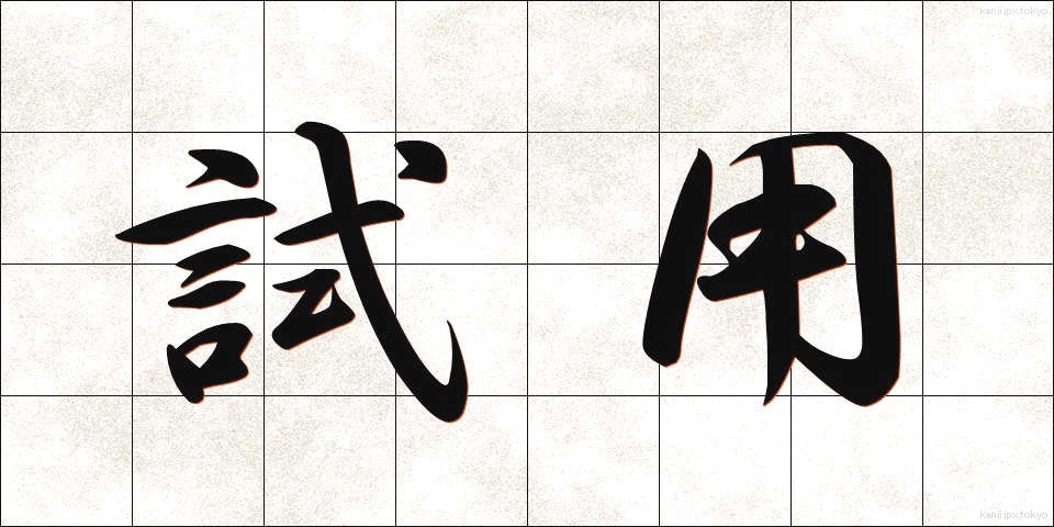 試用 (しよう)