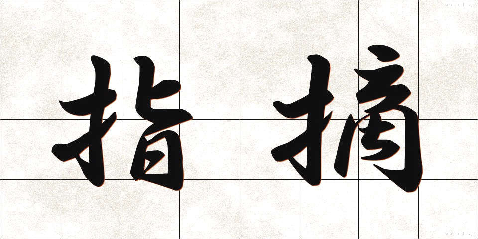 指摘 (してき)