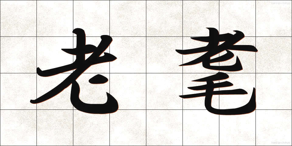 老耄 (ろうもう)