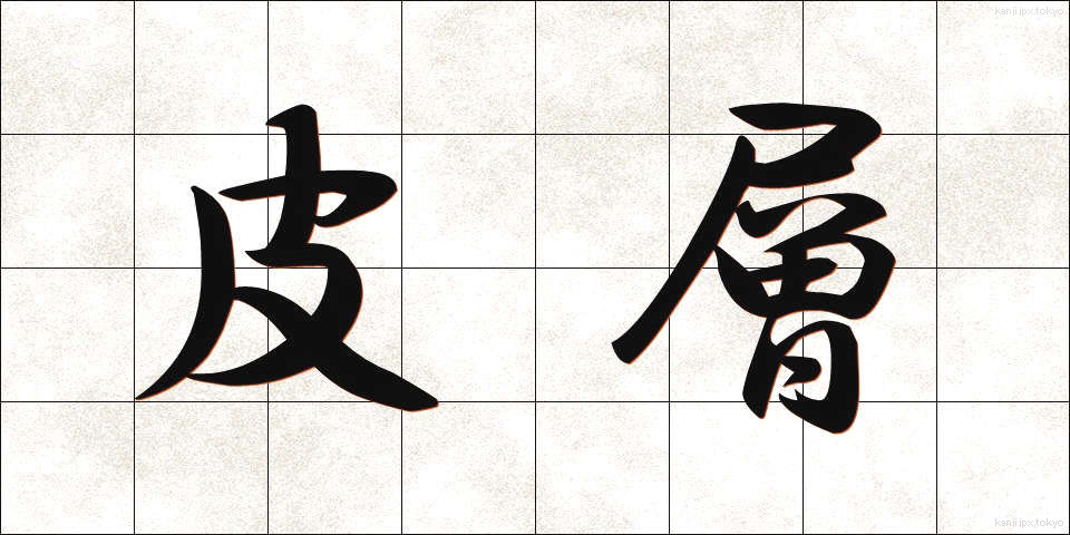 皮層 (ひそう)