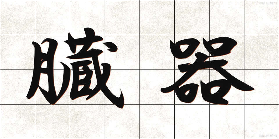 臓器 (ぞうき)