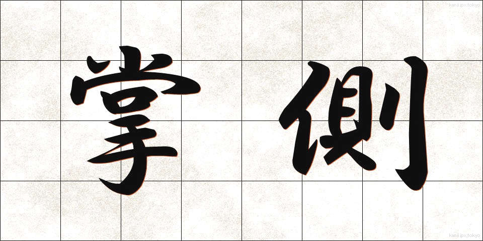 掌側 (しょうそく)