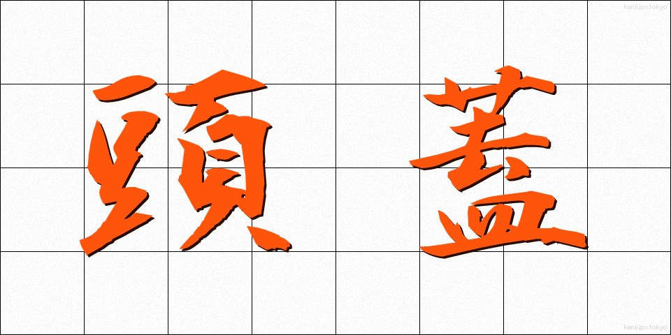 頭蓋 (とうがい)