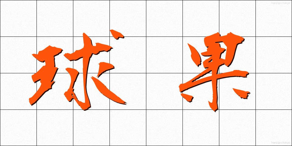 球果 (きゅうか)