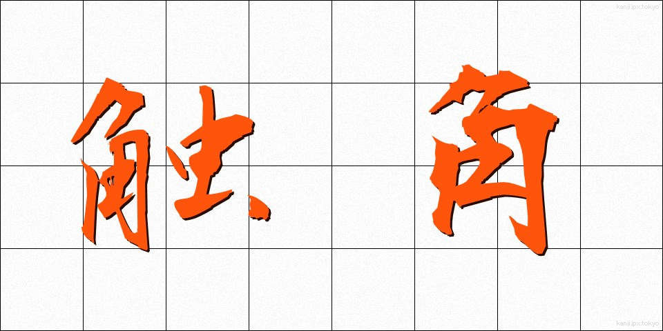 触角 (しょっかく)