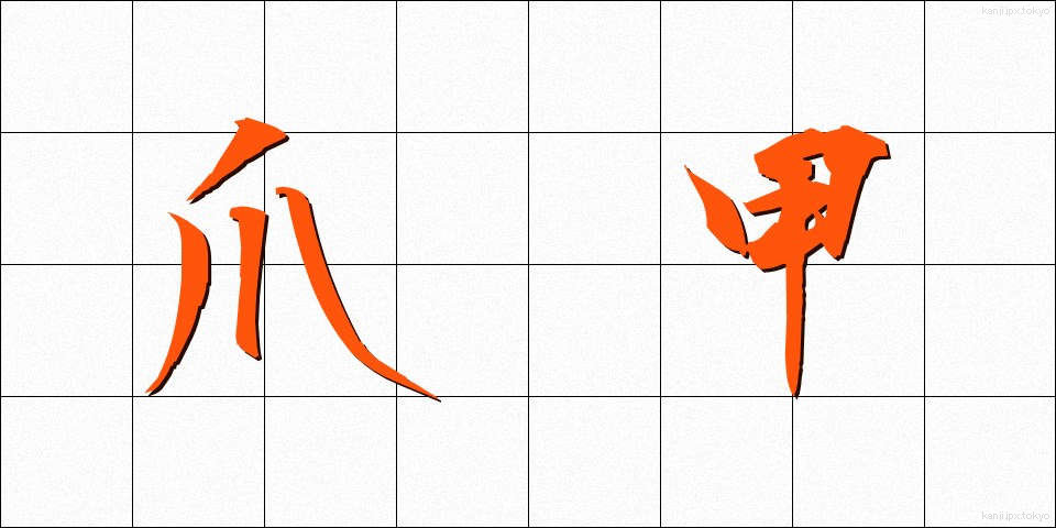 爪甲 (そうこう)