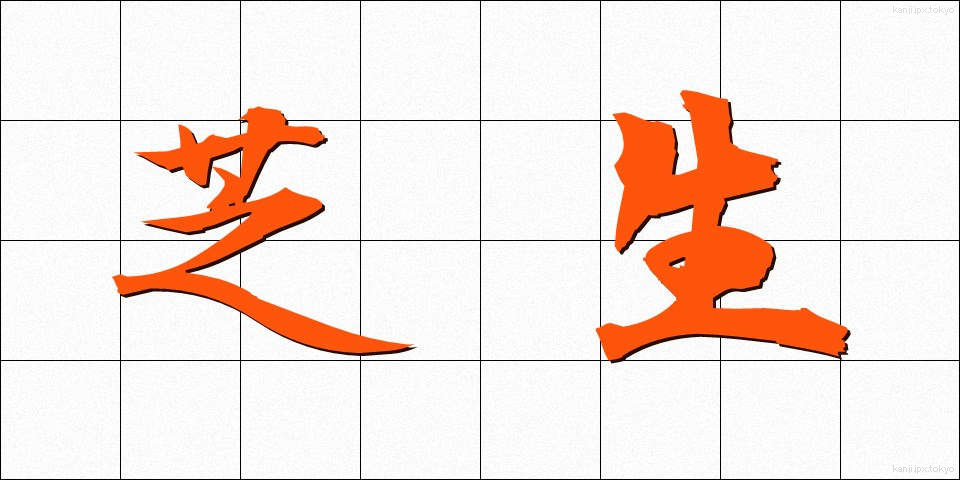 芝生 (しばふ)