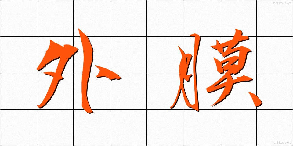 外膜 (がいまく)