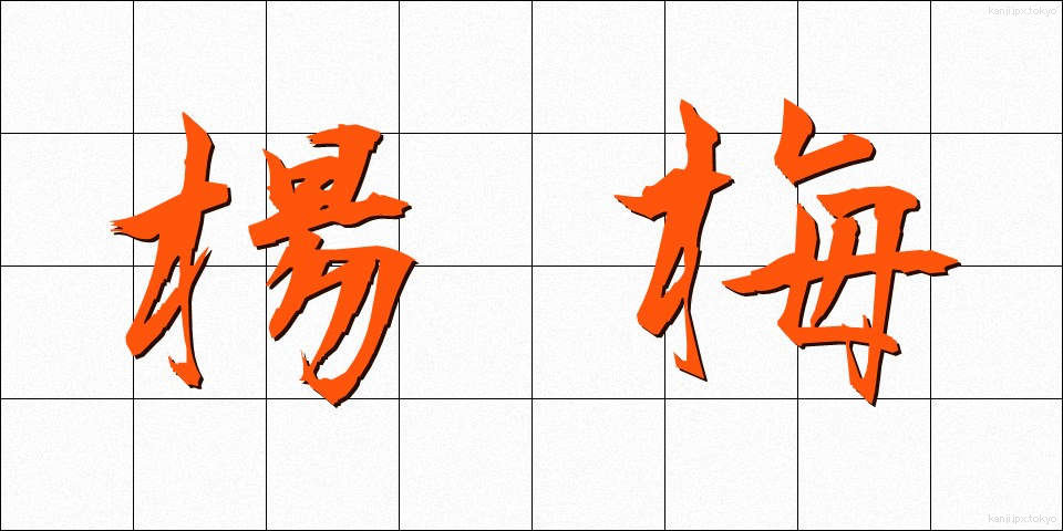 楊梅 (やまもも)