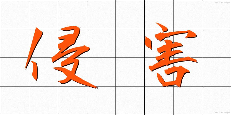 侵害 (しんがい)