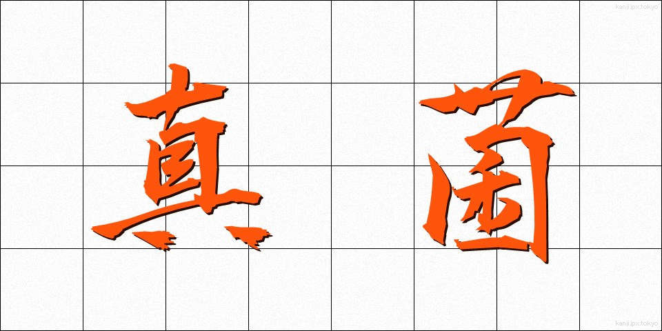 真菌 (しんきん)