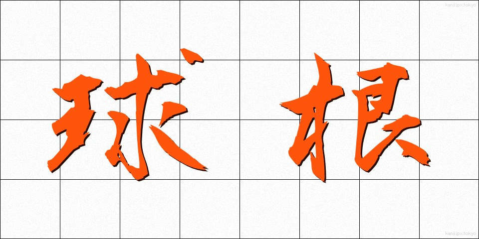 球根 (きゅうこん)
