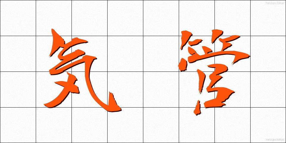 気管 (きかん)