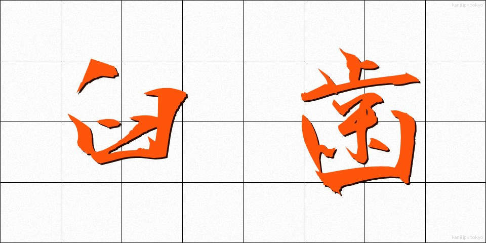 臼歯 (きゅうし)