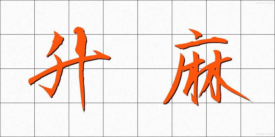 升麻 (しょうま)