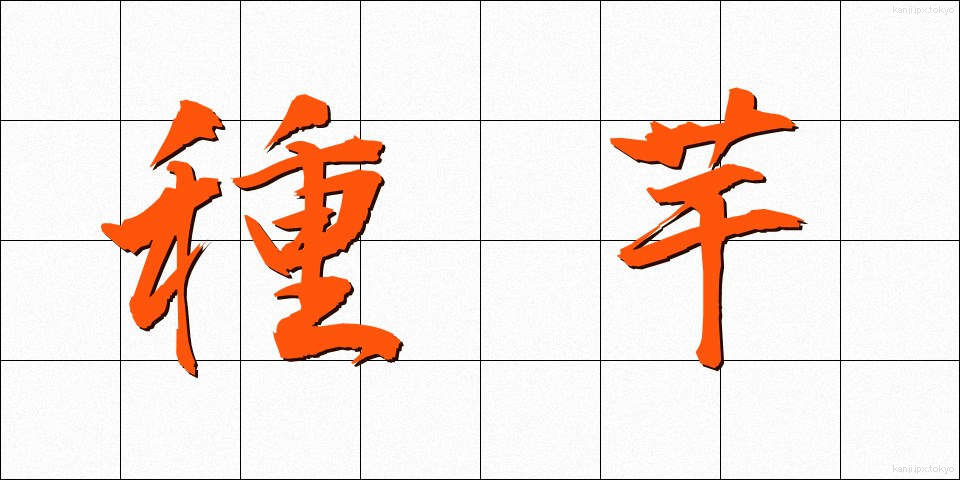 種芋 (たねいも)