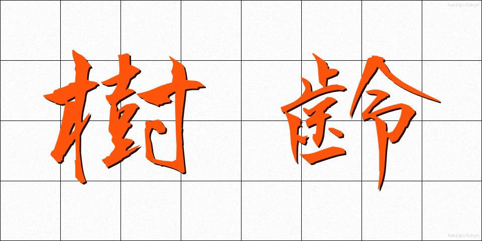 樹齢 (じゅれい)