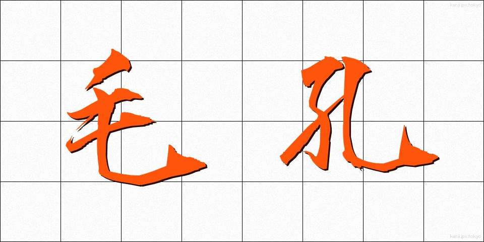 毛孔 (けこう)