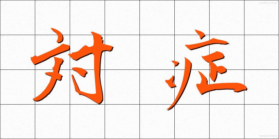 対症 (たいしょう)