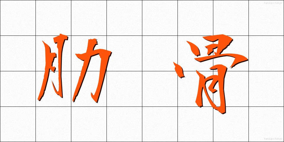 肋骨 (ろっこつ)