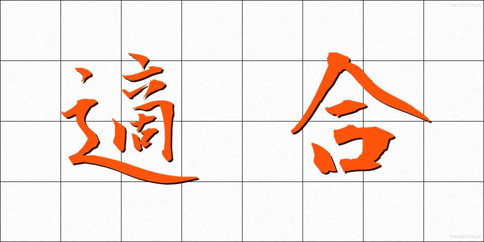 適合 (てきごう)