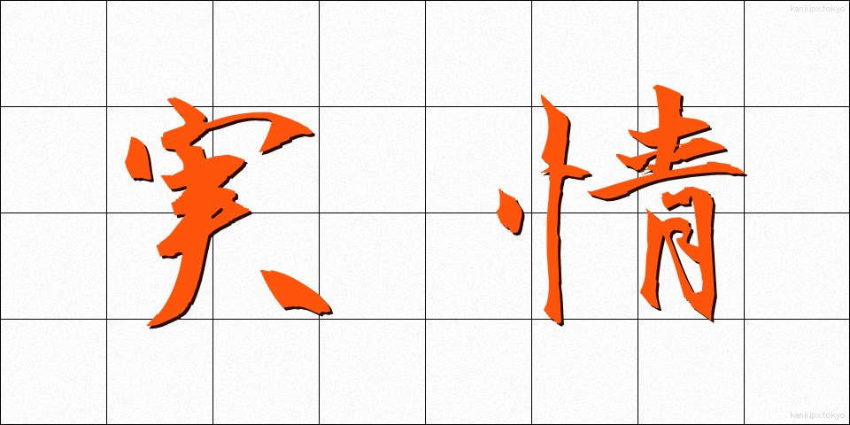 実情 (じつじょう)