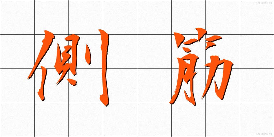 側筋 (そくきん)