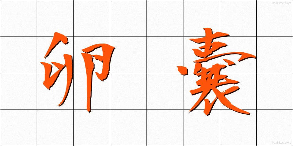 卵嚢 (らんのう)
