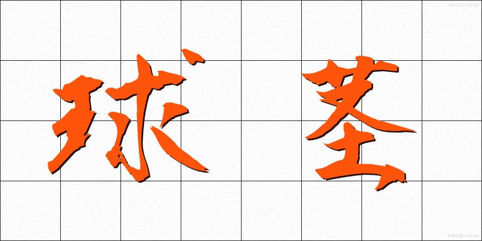球茎 (きゅうけい)