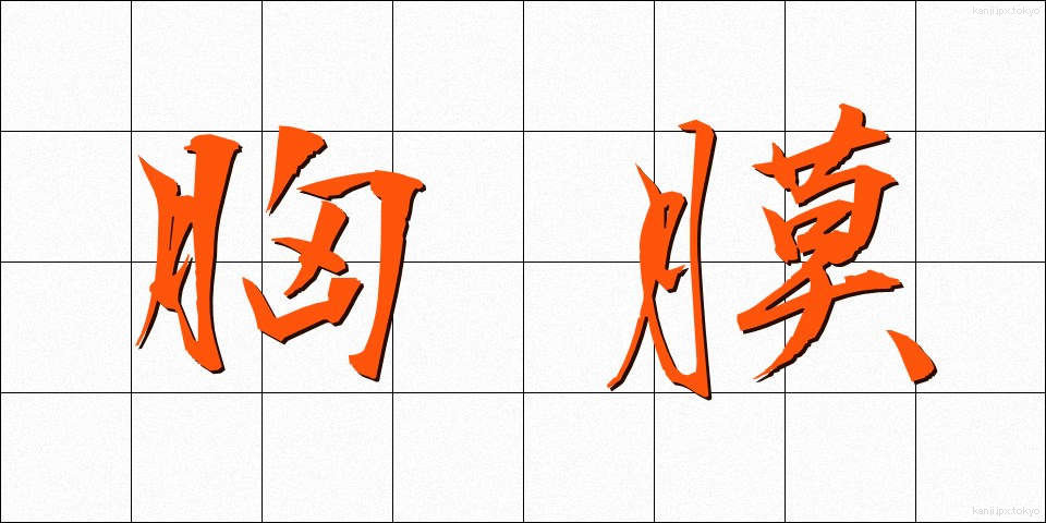 胸膜 (きょうまく)