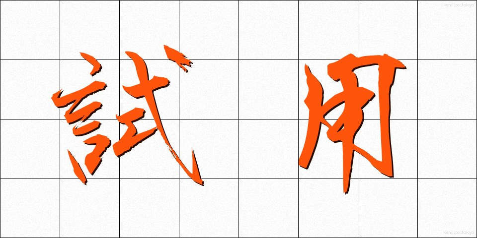 試用 (しよう)