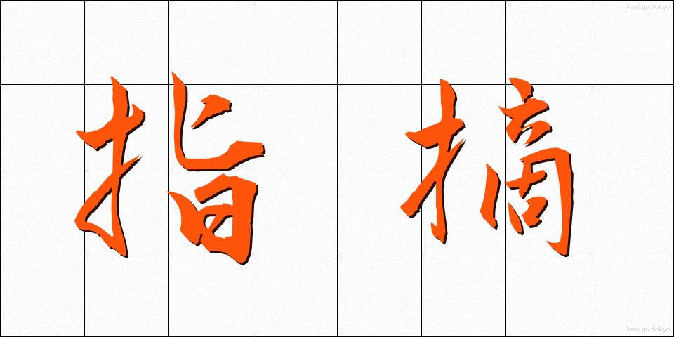 指摘 (してき)