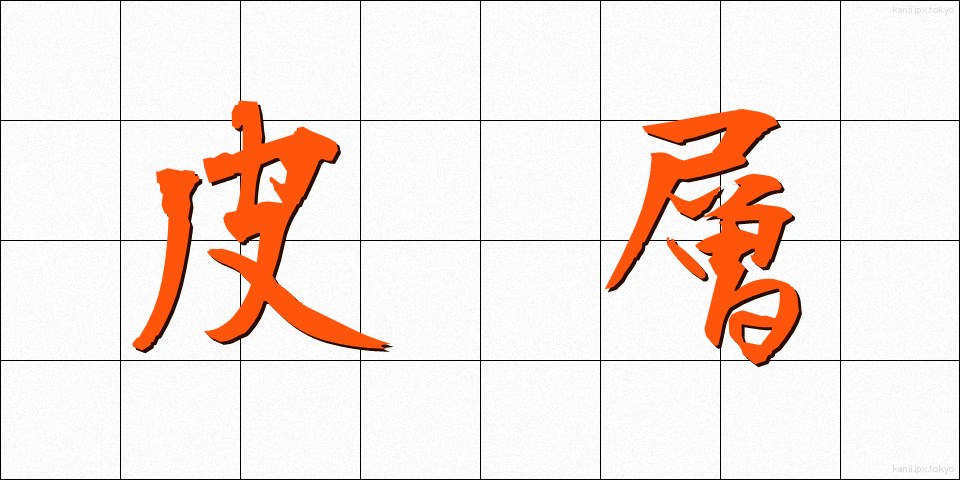 皮層 (ひそう)